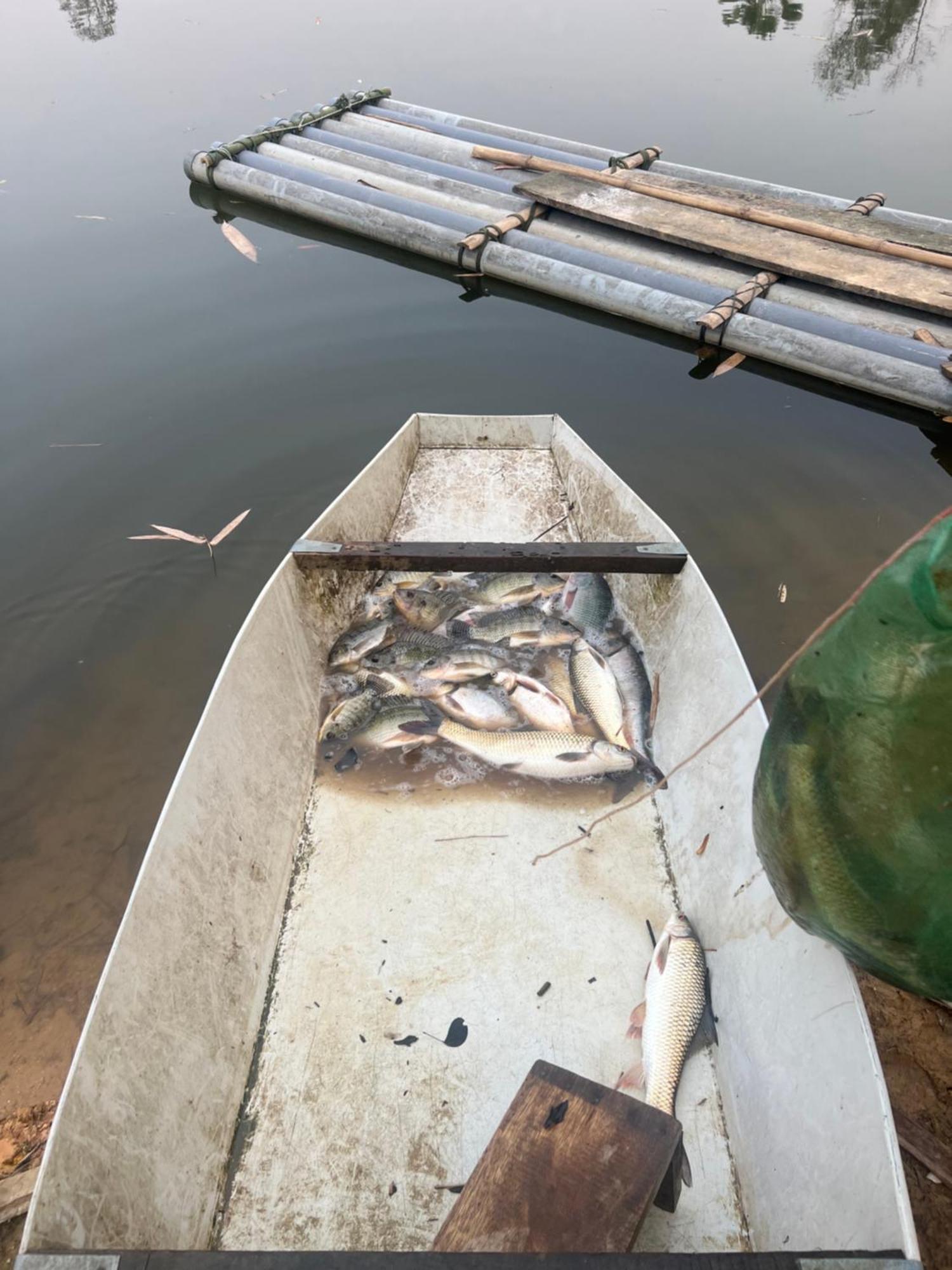 Fish Farm Campsite