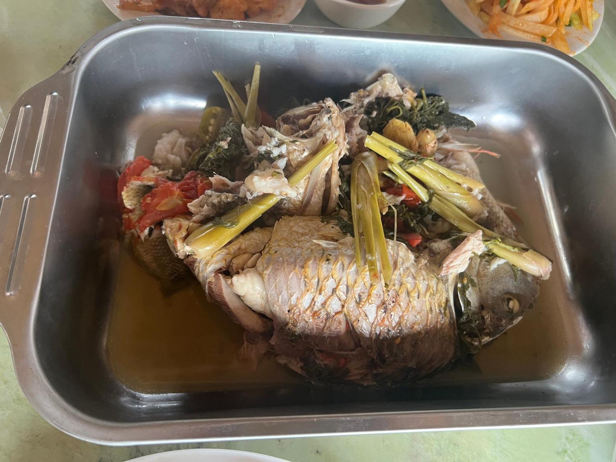 Fish Farm Campsite Yen Bai