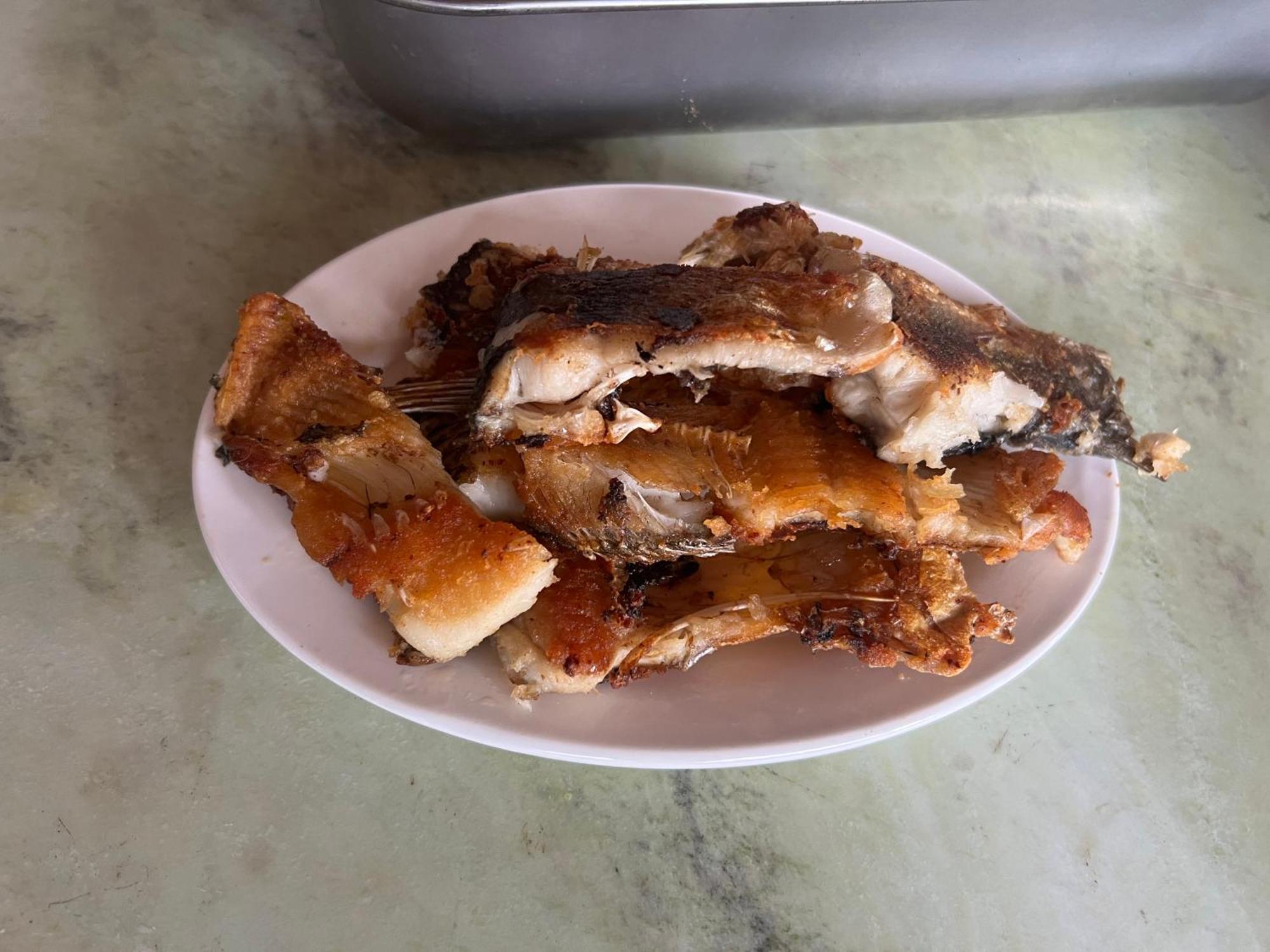 Fish Farm Yen Bai